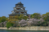 広島城の桜