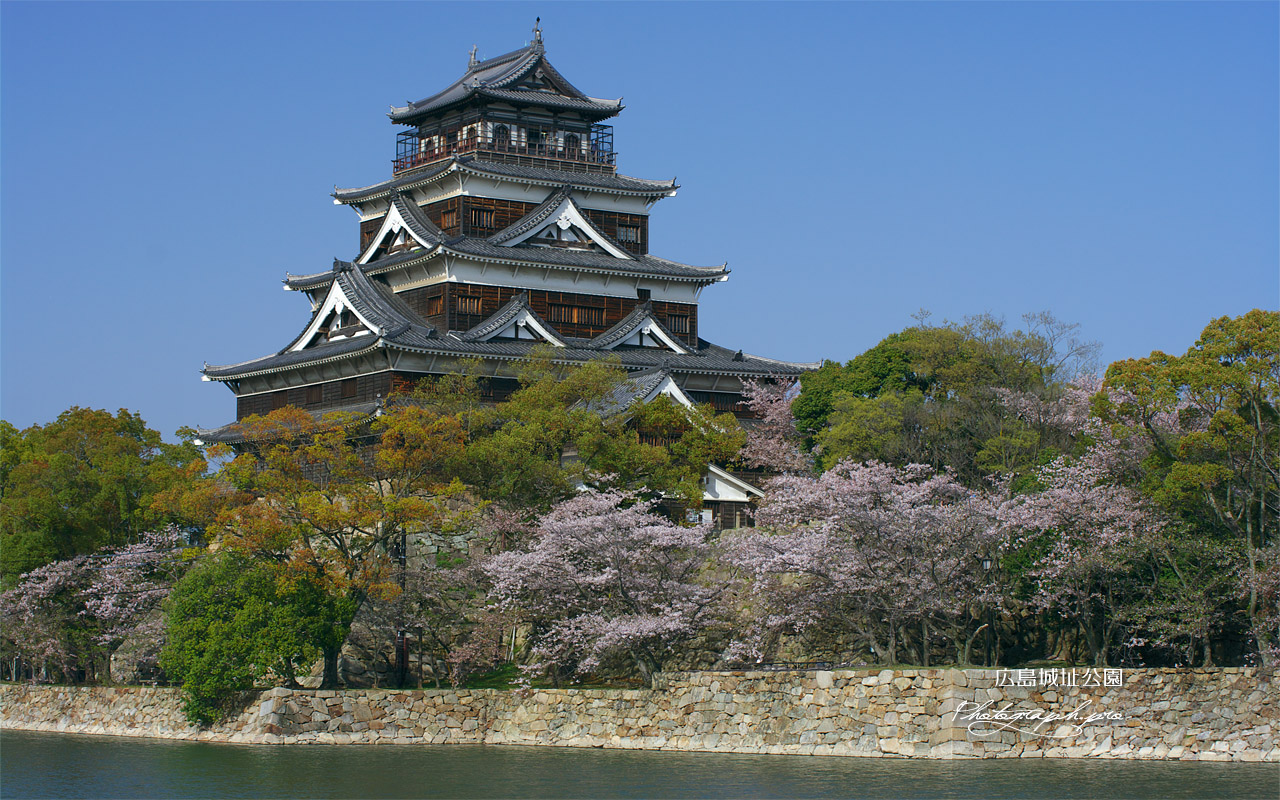 広島城の桜 内堀 壁紙