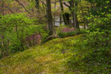 常寂光寺