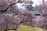 高遠城址公園の桜と信州高遠美術館