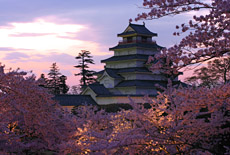 鶴ヶ城公園の桜