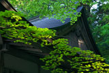 延暦寺横川 新緑の元三大師堂