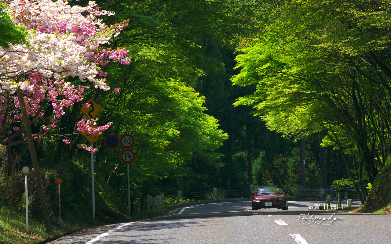 比叡山 八重桜とオープンカー 壁紙