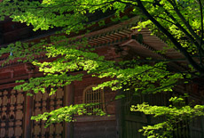 延暦寺東塔