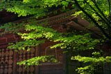 延暦寺東塔
