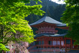 比叡山延暦寺 桜咲く法華総持院東塔