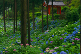 宇治・山城