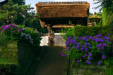 長寿寺 あじさいと山門