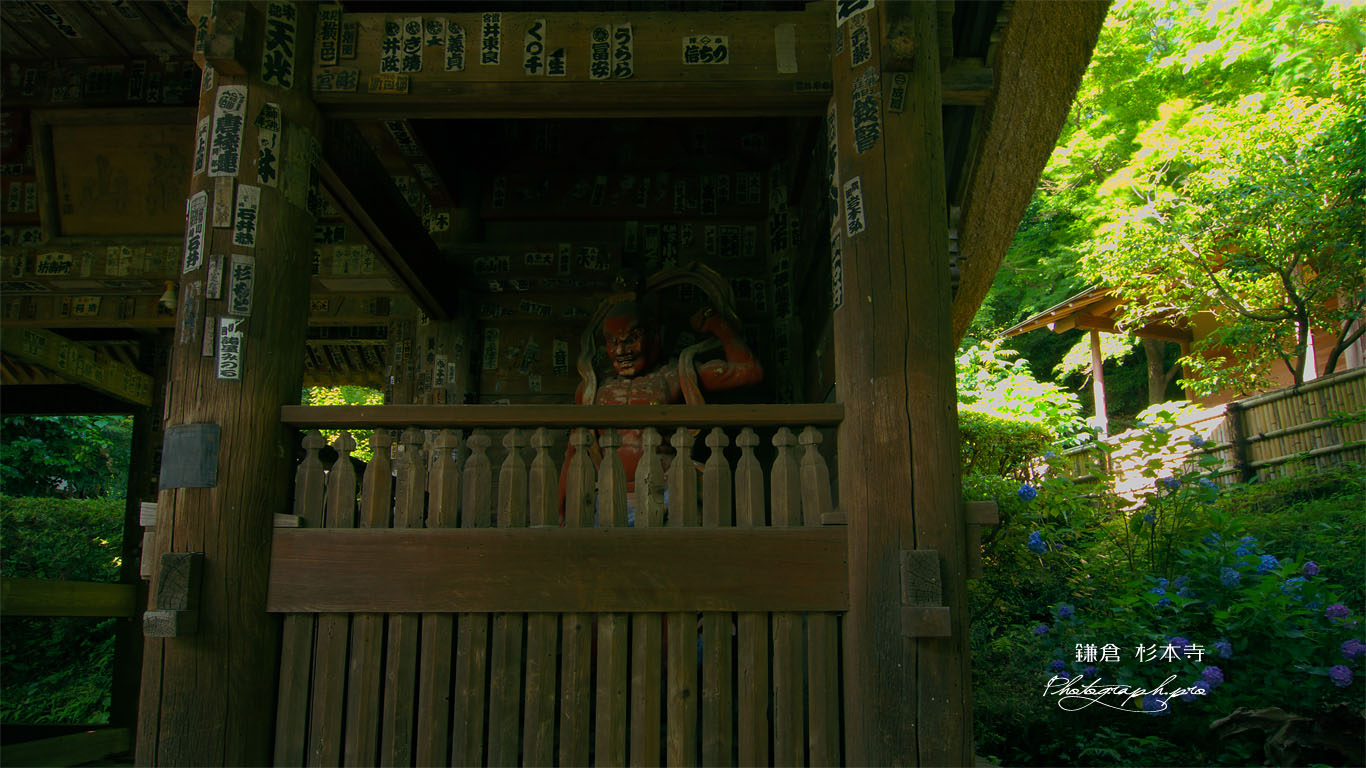 鎌倉 杉本寺仁王門とアジサイ 壁紙