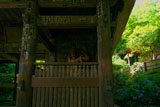 鎌倉 杉本寺仁王門とアジサイ