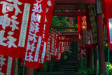 佐助稲荷神社 鳥居の参道