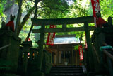 佐助稲荷神社 鳥居越しの拝殿
