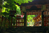 貴船神社 北門越しの七夕飾り