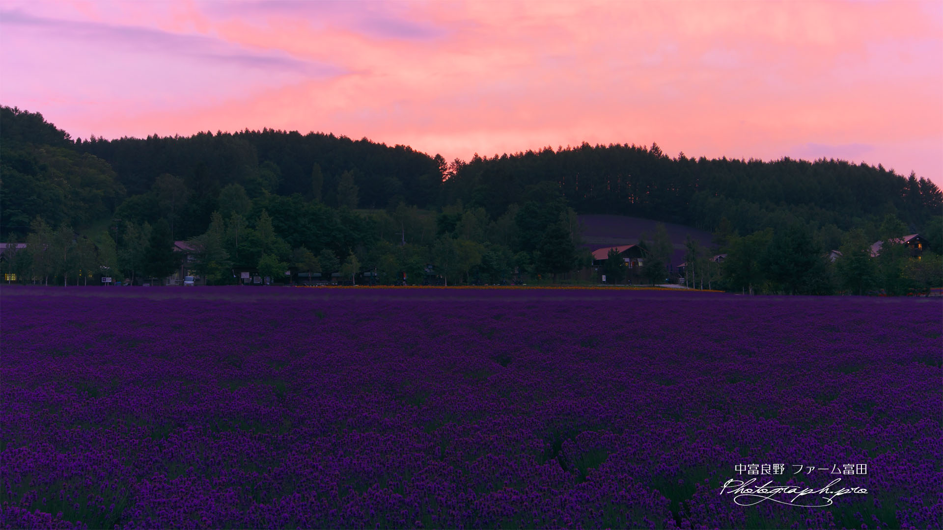 ファーム富田 夕焼け