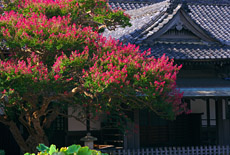 本覚寺