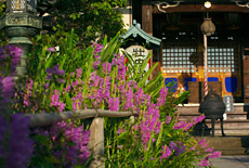 常栄寺