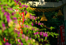 八雲神社（大町）