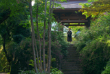 海蔵寺 ハギと山門