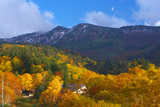 紅葉とヒュッテ バーデンかみふらの