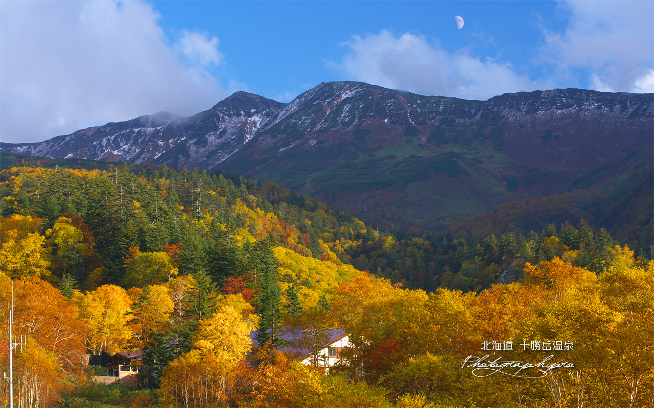 紅葉とヒュッテ バーデンかみふらの 壁紙