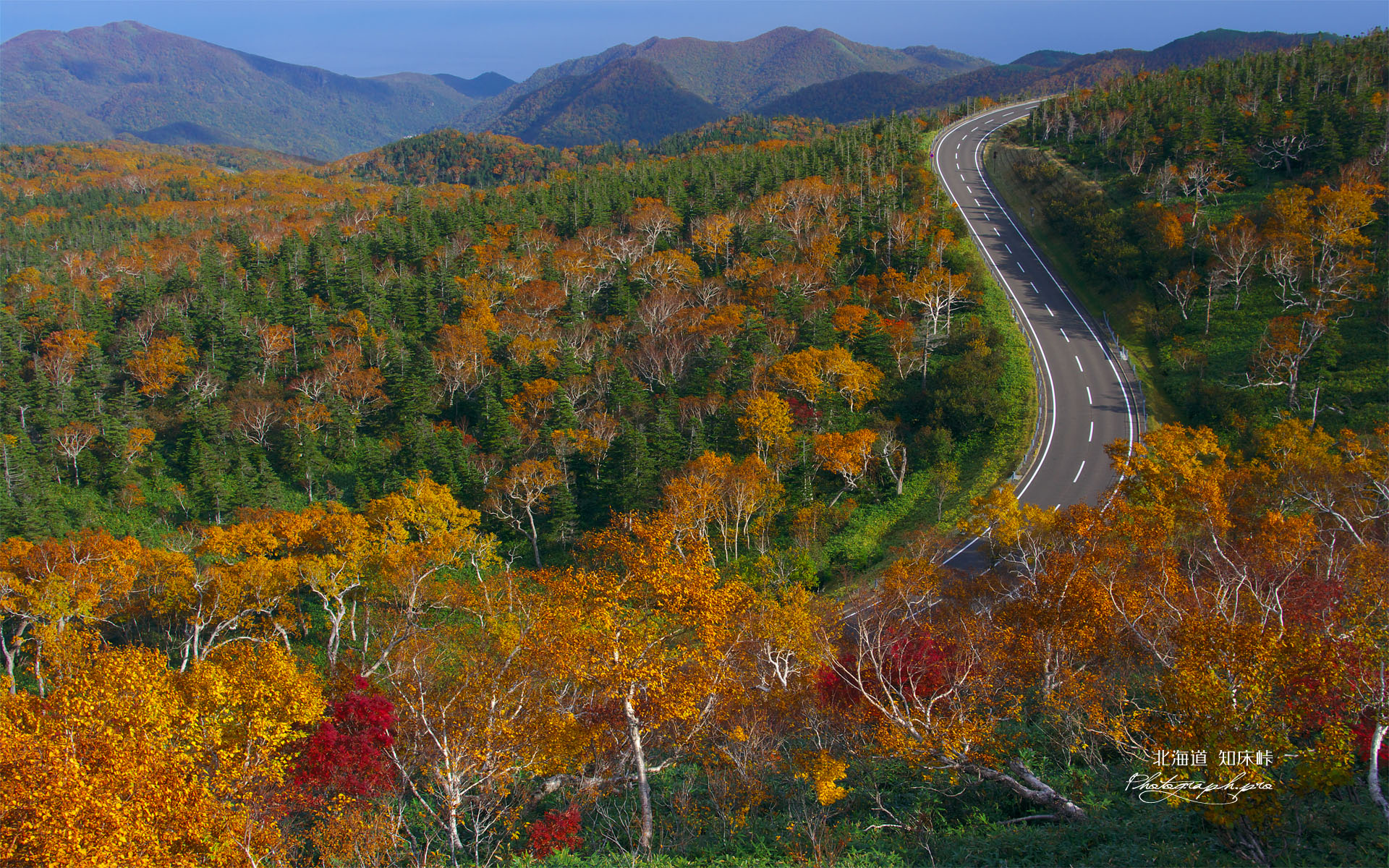 羅臼側の知床横断道路