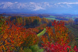 紅葉と十勝岳連峰