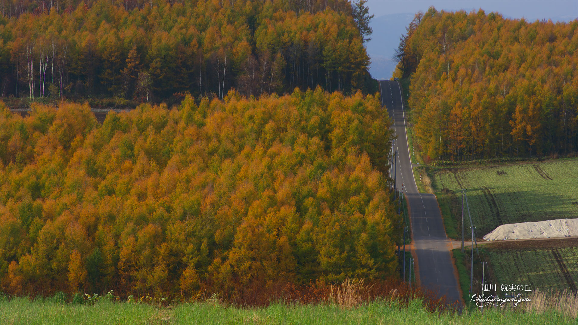 波打つ道路