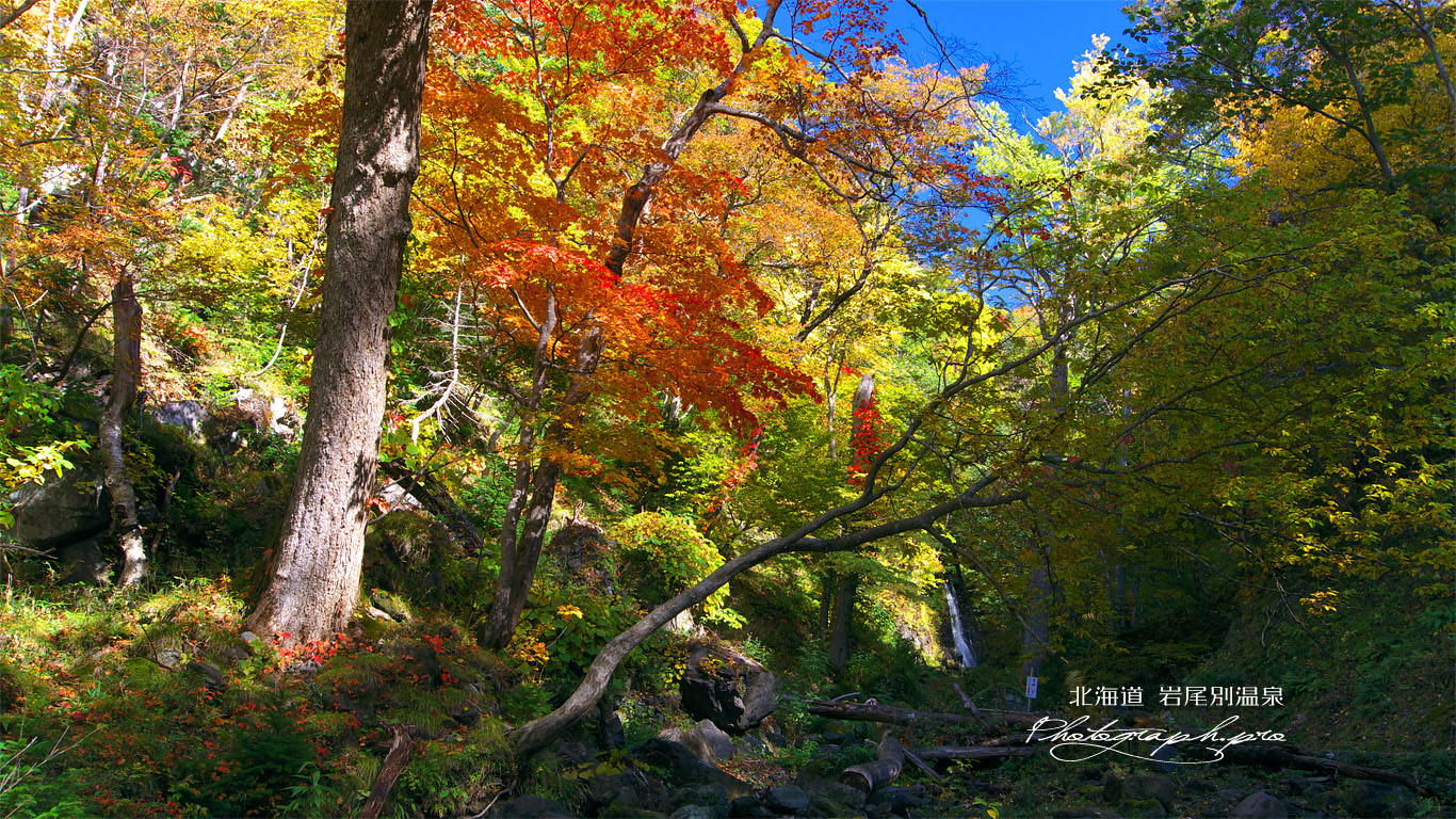 岩尾別温泉の紅葉 壁紙