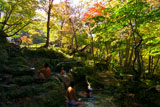 岩尾別温泉