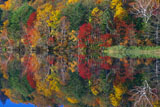 紅葉の湖面