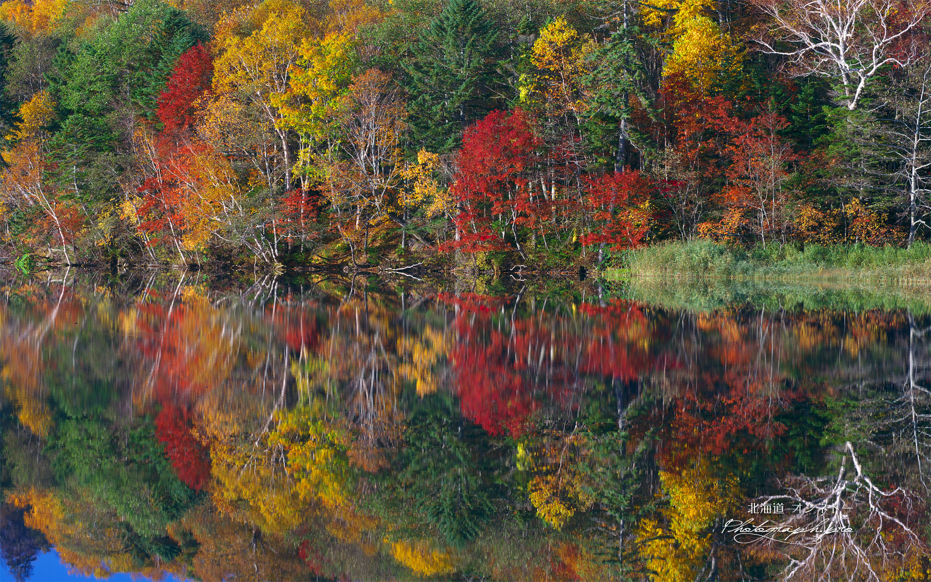 紅葉の湖面