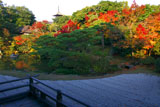 仁和寺北庭の紅葉