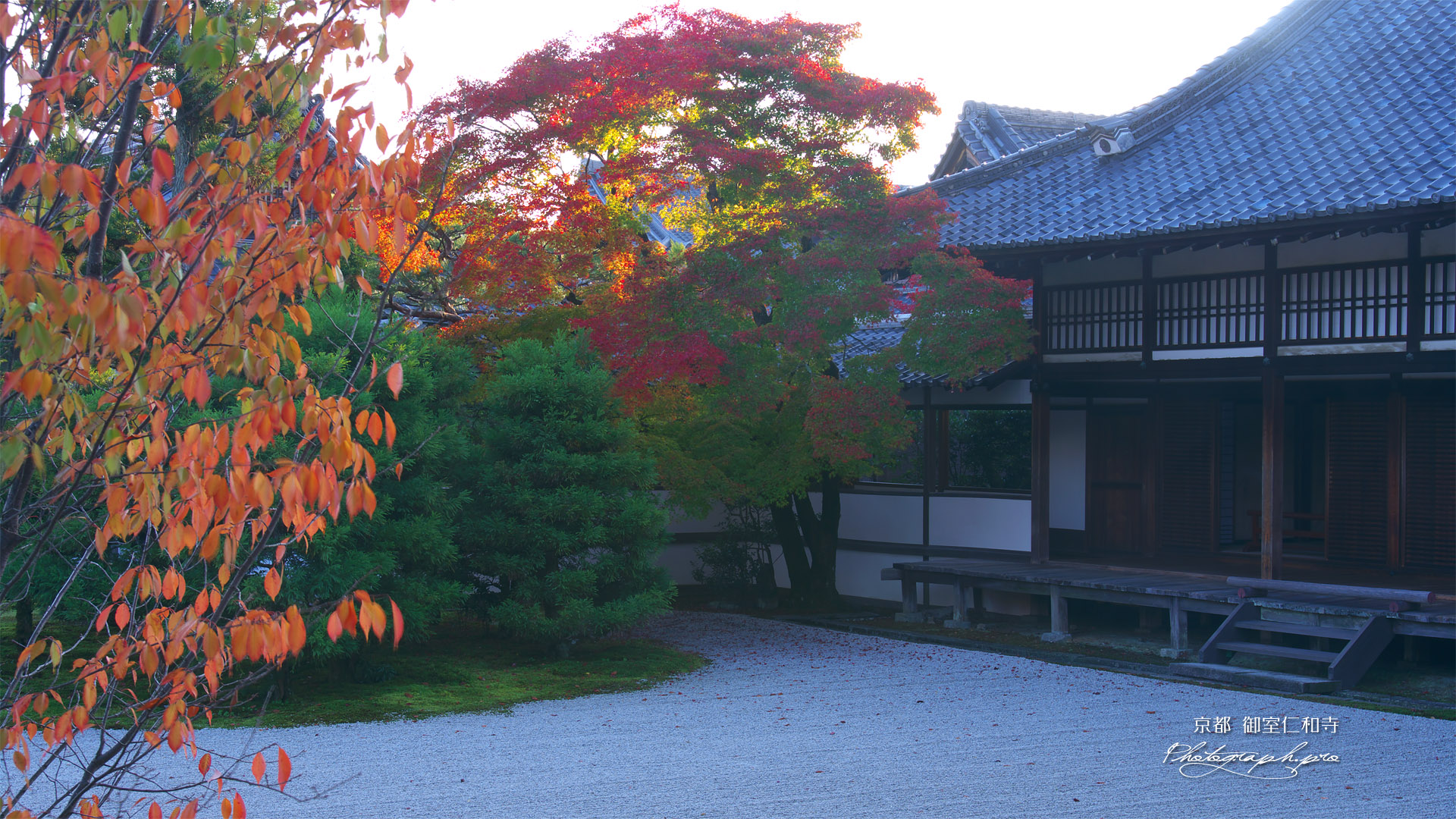 仁和寺白書院と南庭