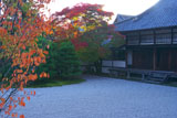 仁和寺白書院と南庭