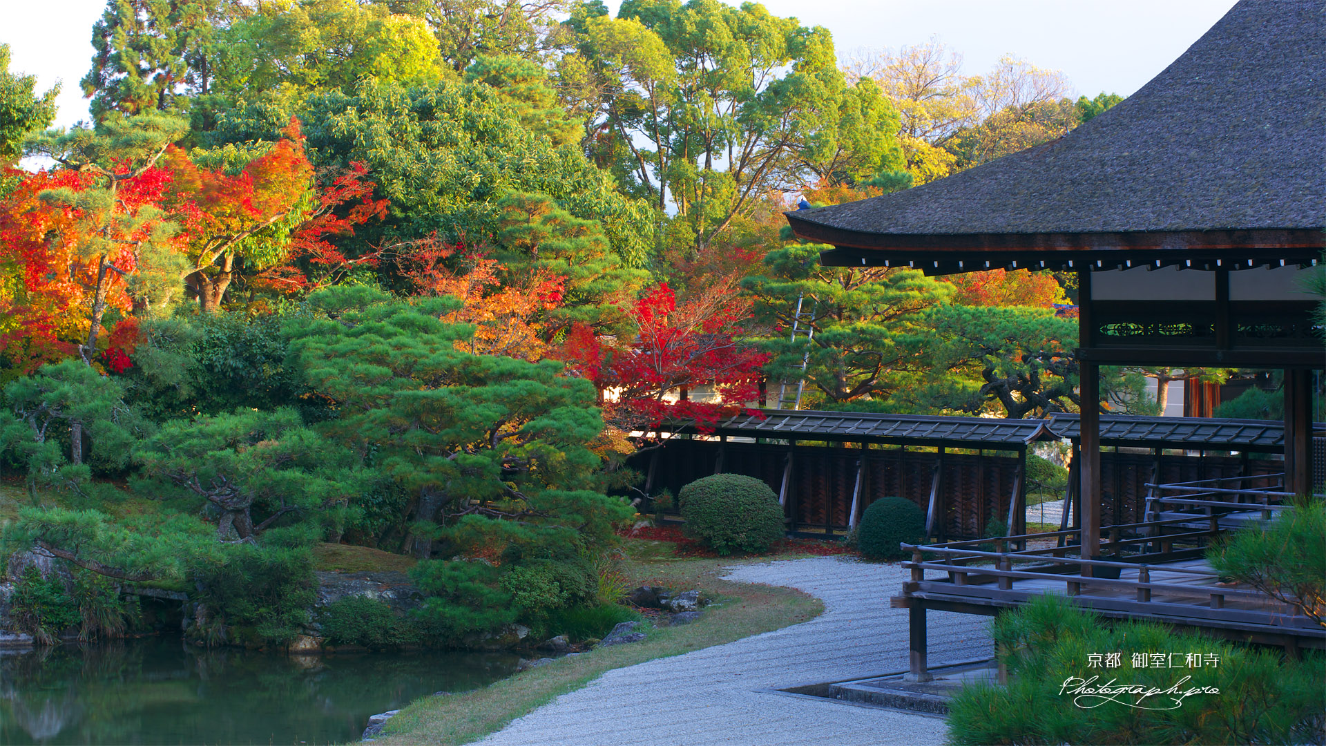 仁和寺