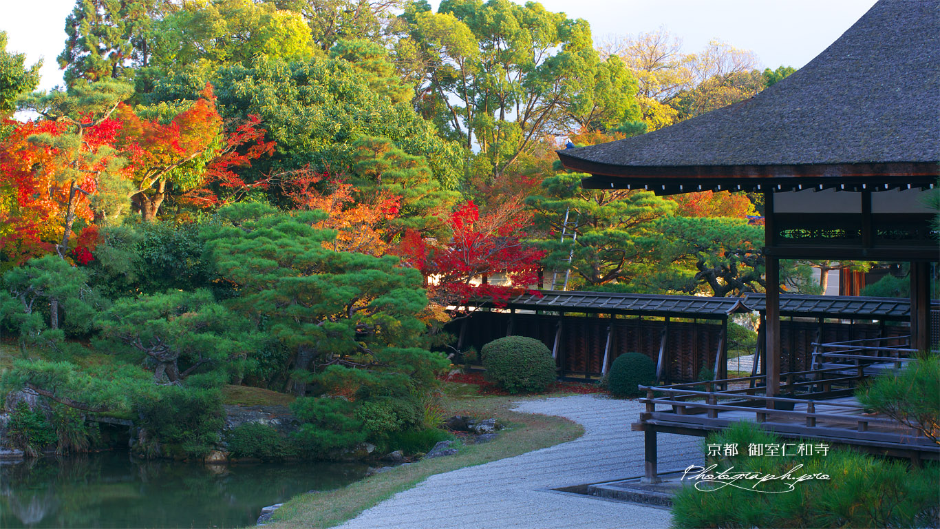 仁和寺 壁紙