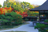 仁和寺