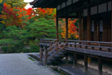 仁和寺宸殿と紅葉