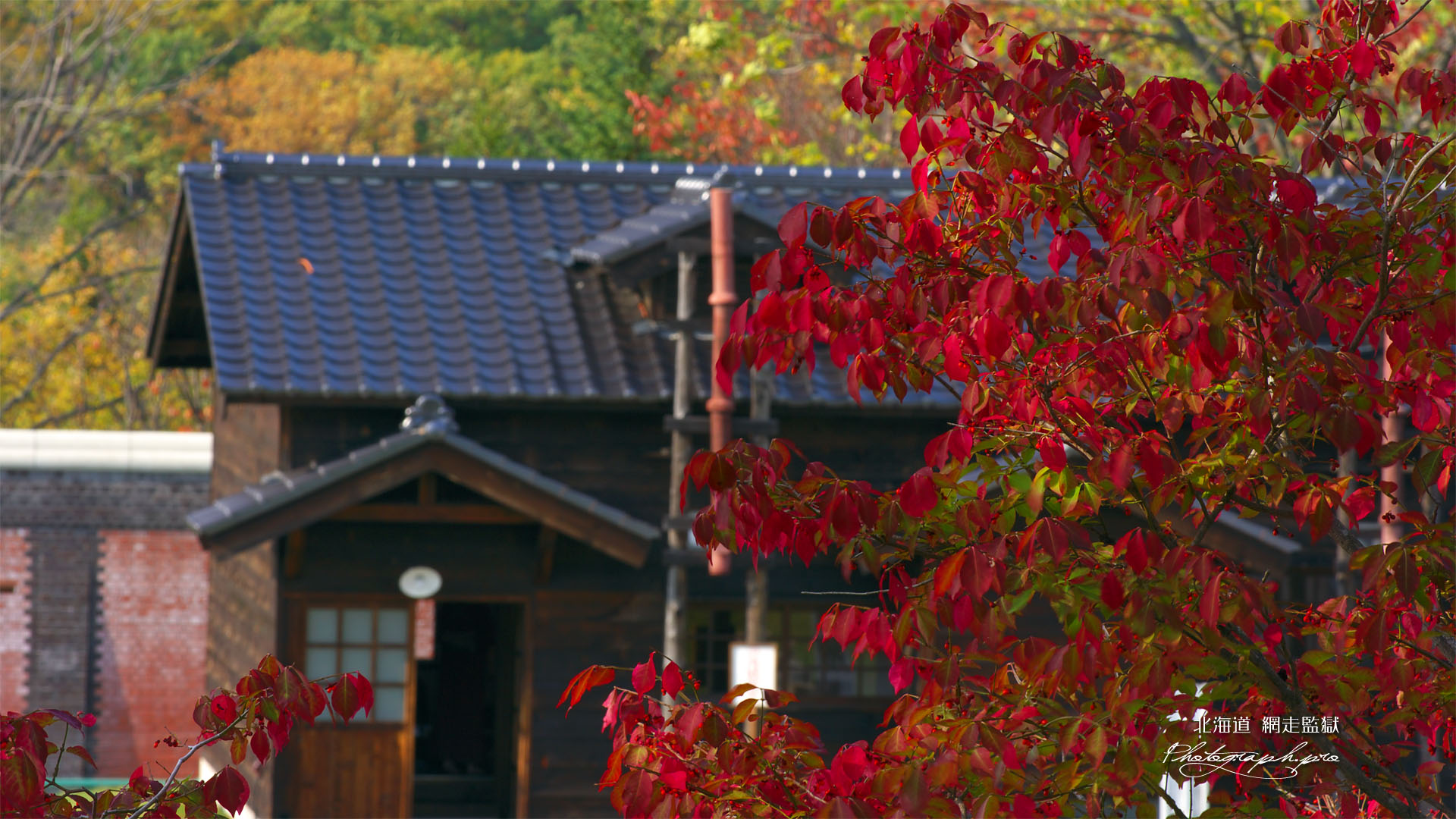 網走監獄の紅葉の看守長屋