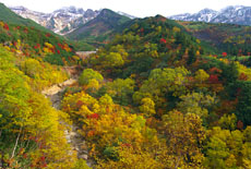 十勝岳温泉