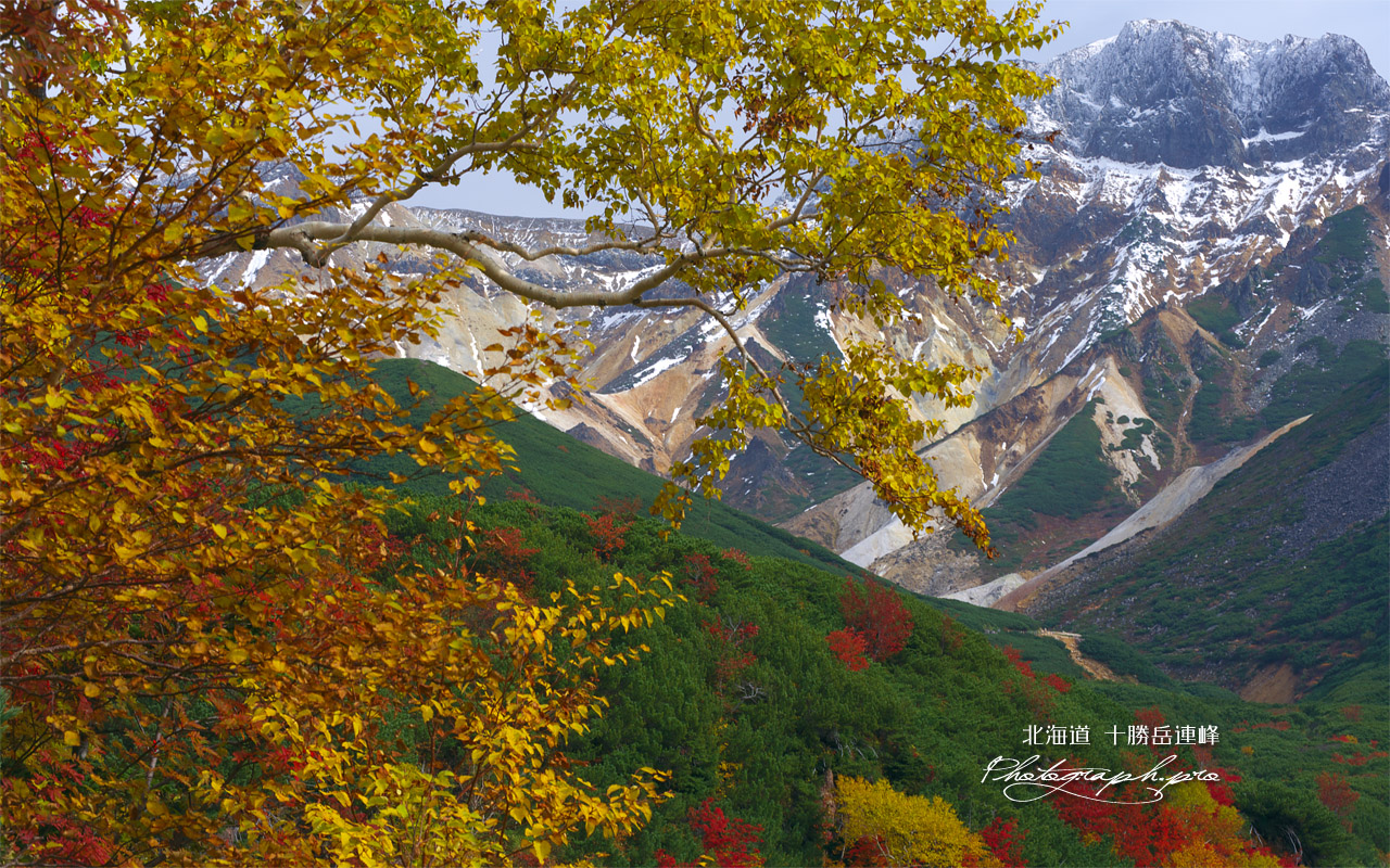 紅葉と上ホロカメットク山 壁紙