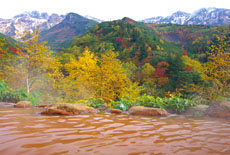 北海道の温泉