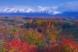 紅葉の丘と十勝岳連峰