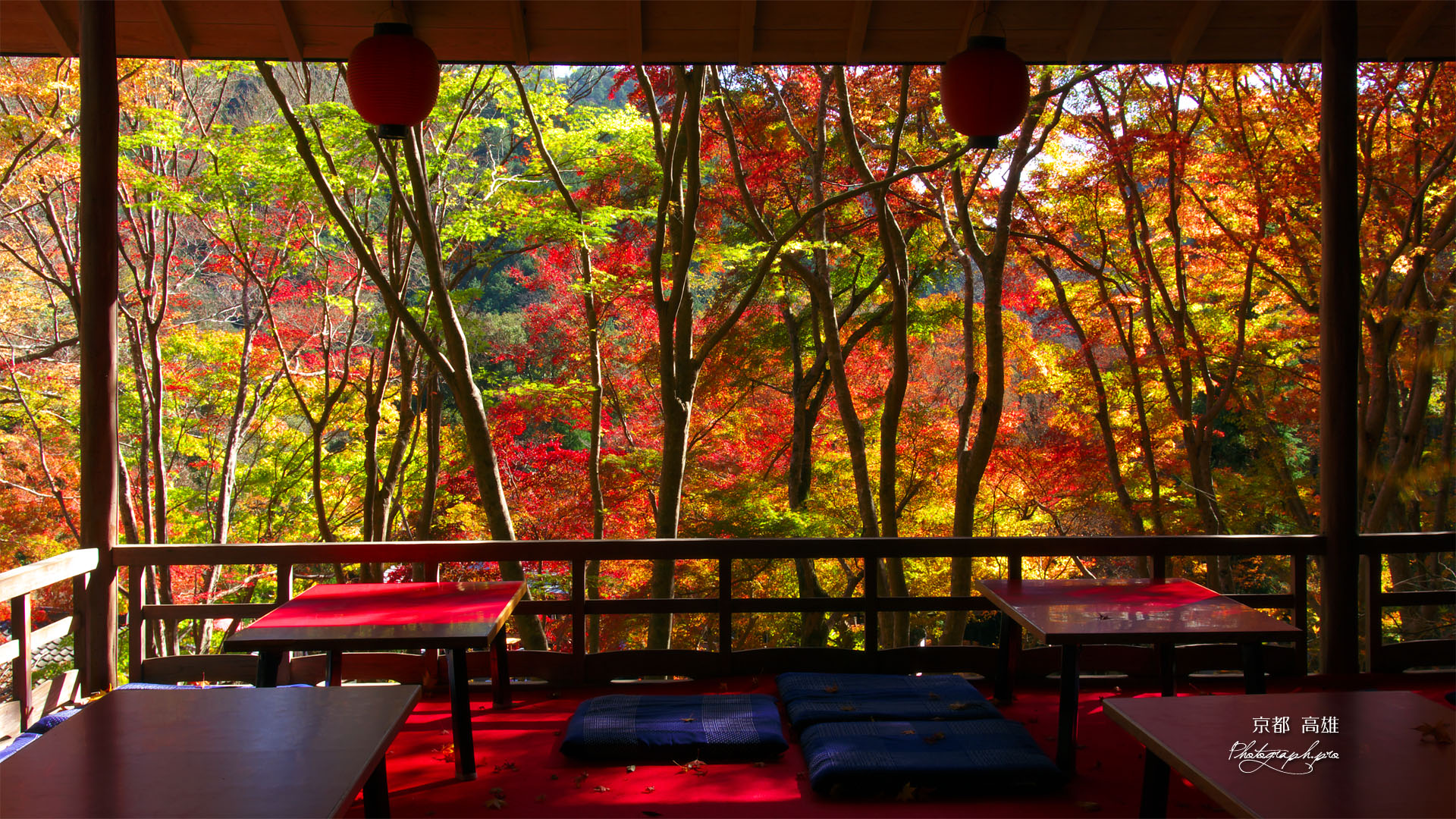 高雄茶屋の紅葉