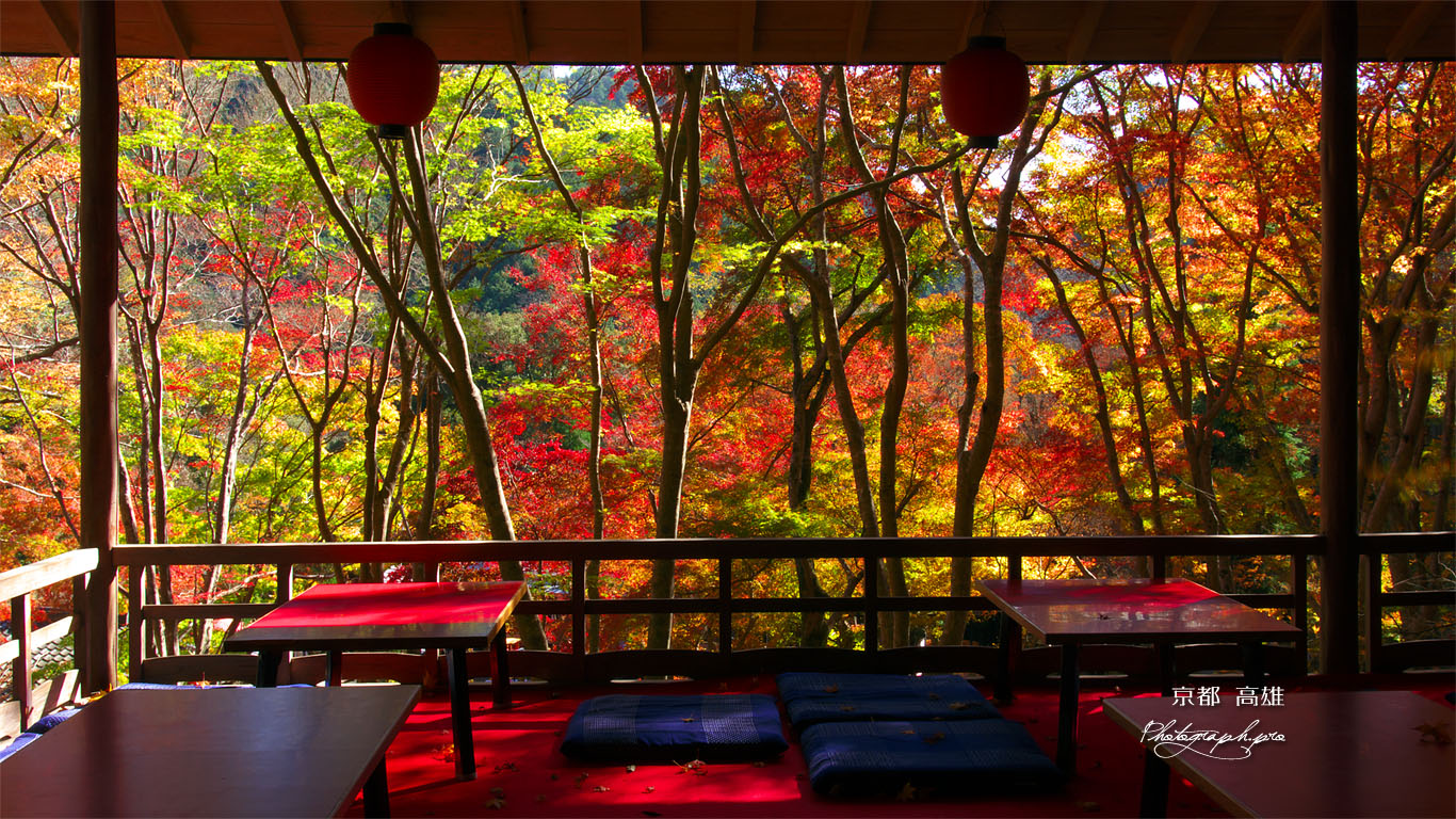 高雄茶屋の紅葉 壁紙