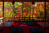 高雄茶屋の紅葉