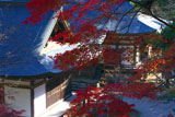紅葉の五大堂と毘沙門堂