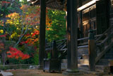 神護寺毘沙門堂と紅葉