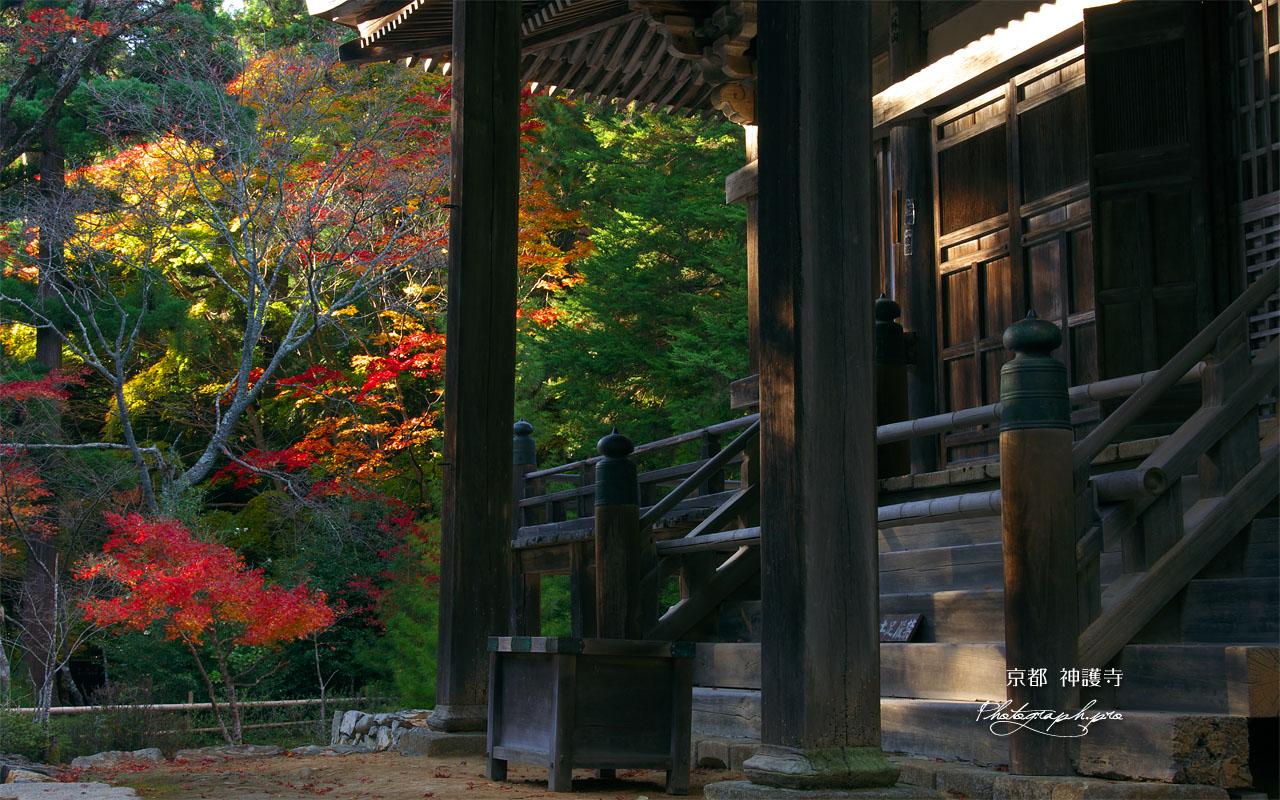 神護寺毘沙門堂と紅葉 壁紙
