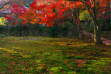 神護寺地蔵院庭園の紅葉